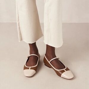 NWT Agate Retro Tan Ballet Flats